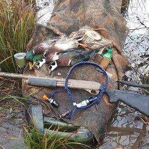 Meet your Posher, Brady